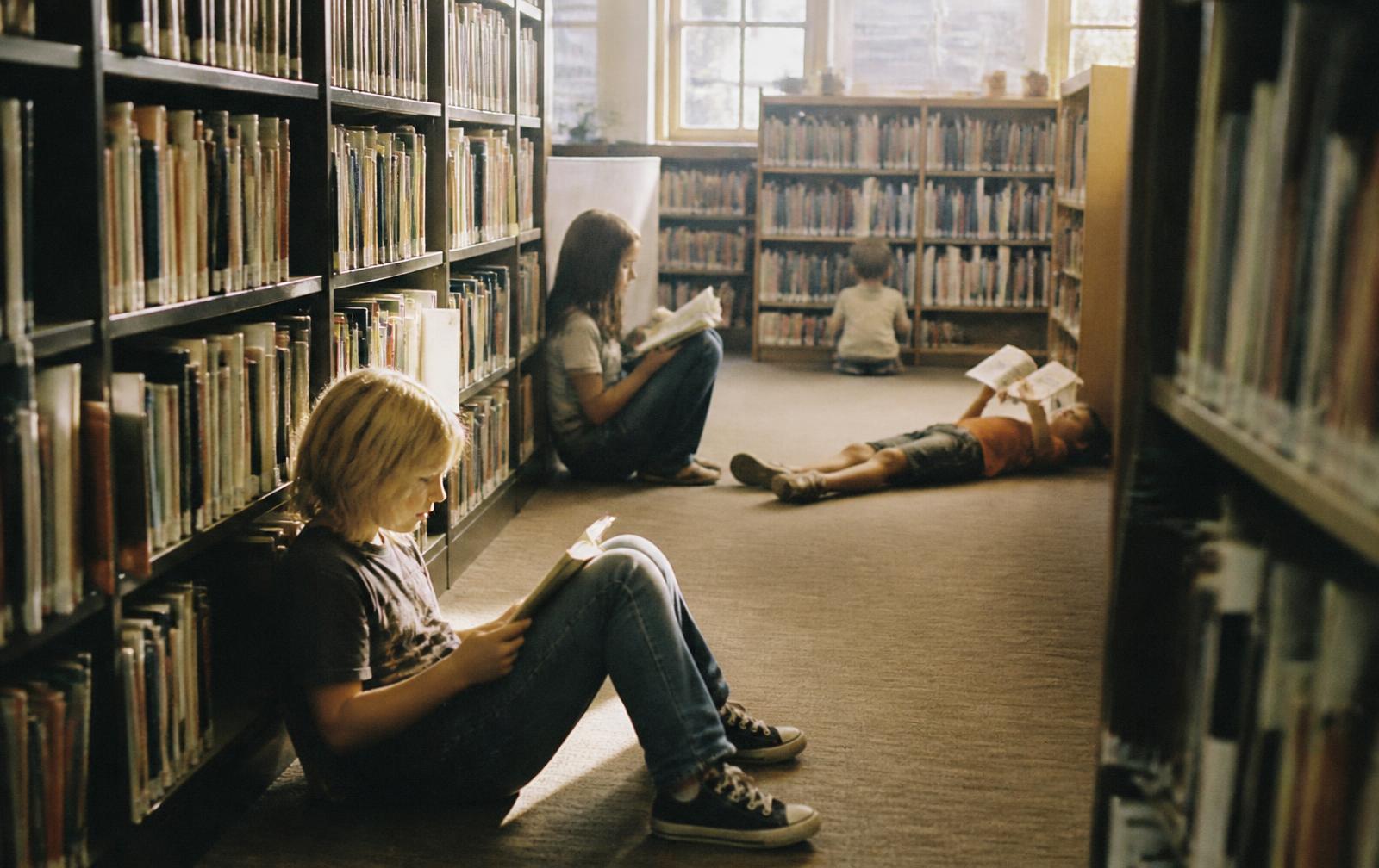Rows of open books and sketchbooks lit by afternoon light
